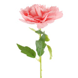 Peonía Artifical, Color Rosa