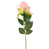17 12AA FLOR ROSA INDIVIDUAL 2ROSA
