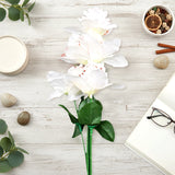 Ramo de Flores, Color Blanco