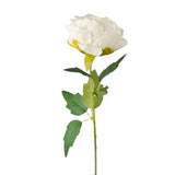 Rosa Artifical, Color Blanco