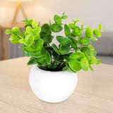 Maceta Mini Color Blanco con Planta de Plástico
