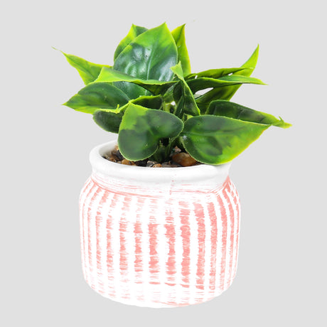 Planta con Maceta Circular, Color Naranja