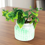 Planta con Maceta Circular, Color Verde