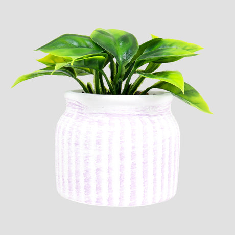 Planta con Maceta Circular, Color Morado