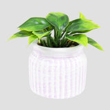 Planta con Maceta Circular, Color Morado