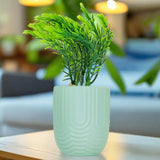 Planta con Maceta, Textura Arcoíris, Color Verde
