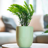 Planta con Maceta, Textura Arcoíris, Color Verde