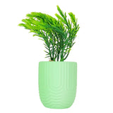 Planta con Maceta, Textura Arcoíris, Color Verde