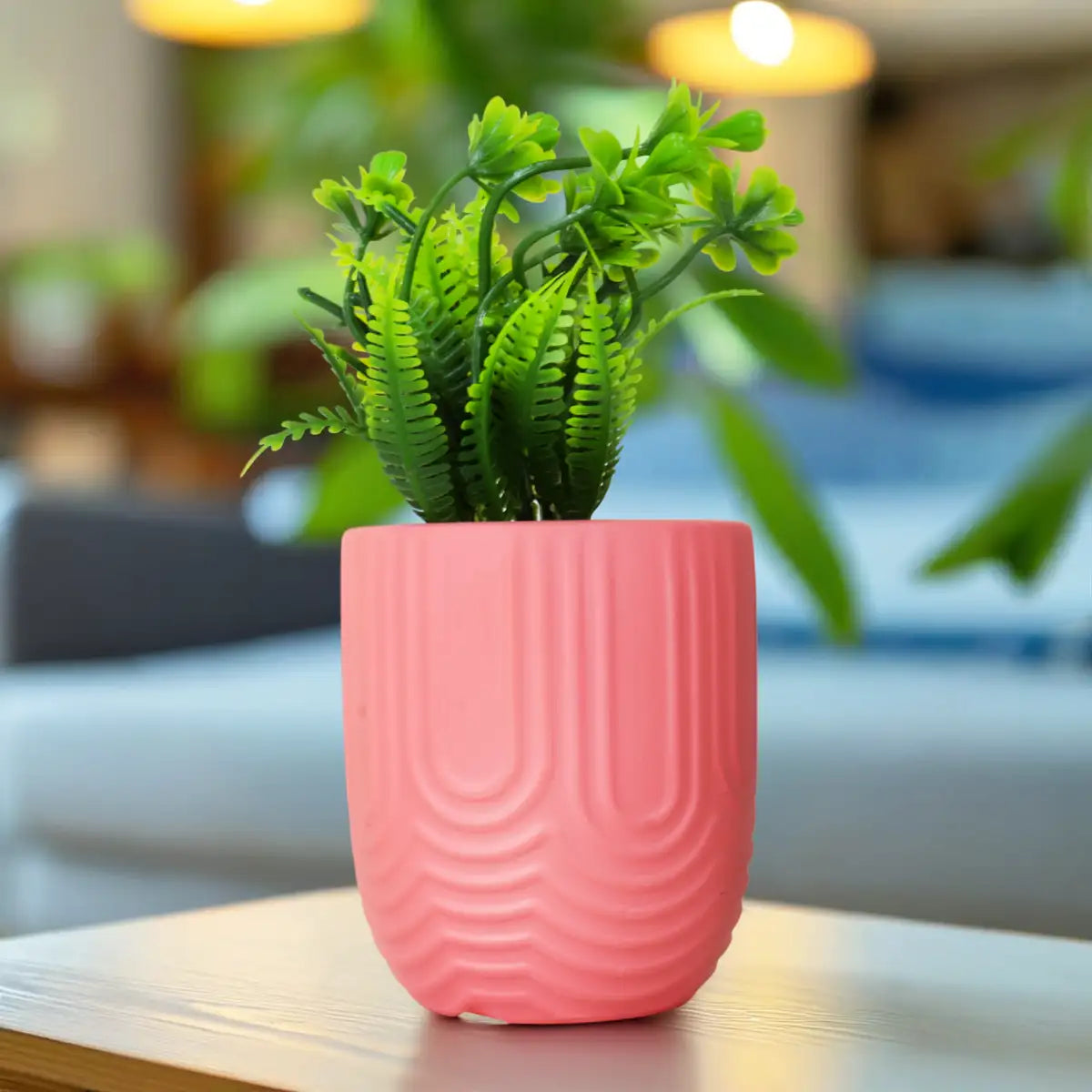 Planta con Maceta, Textura Arcoíris, Color Rosa