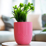 Planta con Maceta, Textura Arcoíris, Color Rosa