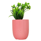 Planta con Maceta, Textura Arcoíris, Color Rosa