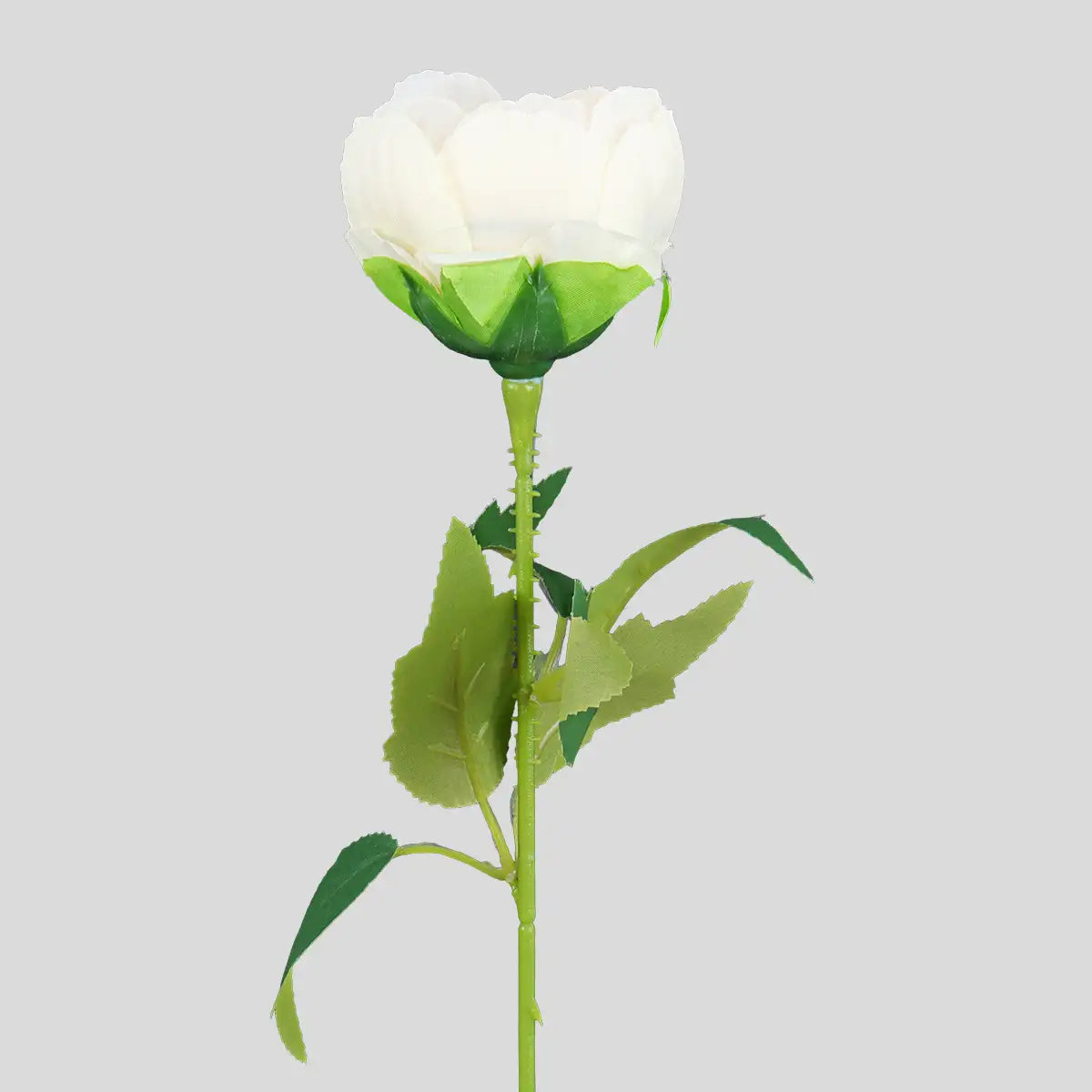 Flor Individual, Color Beige