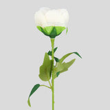 Flor Individual, Color Beige