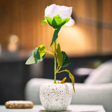 Flor Individual, Color Blanco