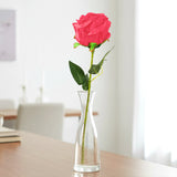 17 12AA FLOR ROSA INDIVIDUAL 3ROJO