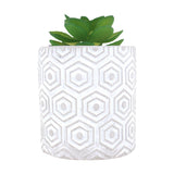Maceta, Diseño Hexagonal, Color Gris