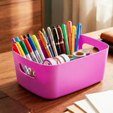 22 12AA CANASTA ORGANIZADORA 24X10CMMORA