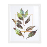 Portarretrato, Planta, Color Blanco