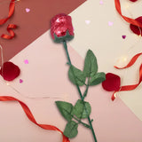 Choco-Rosa, Color Rojo