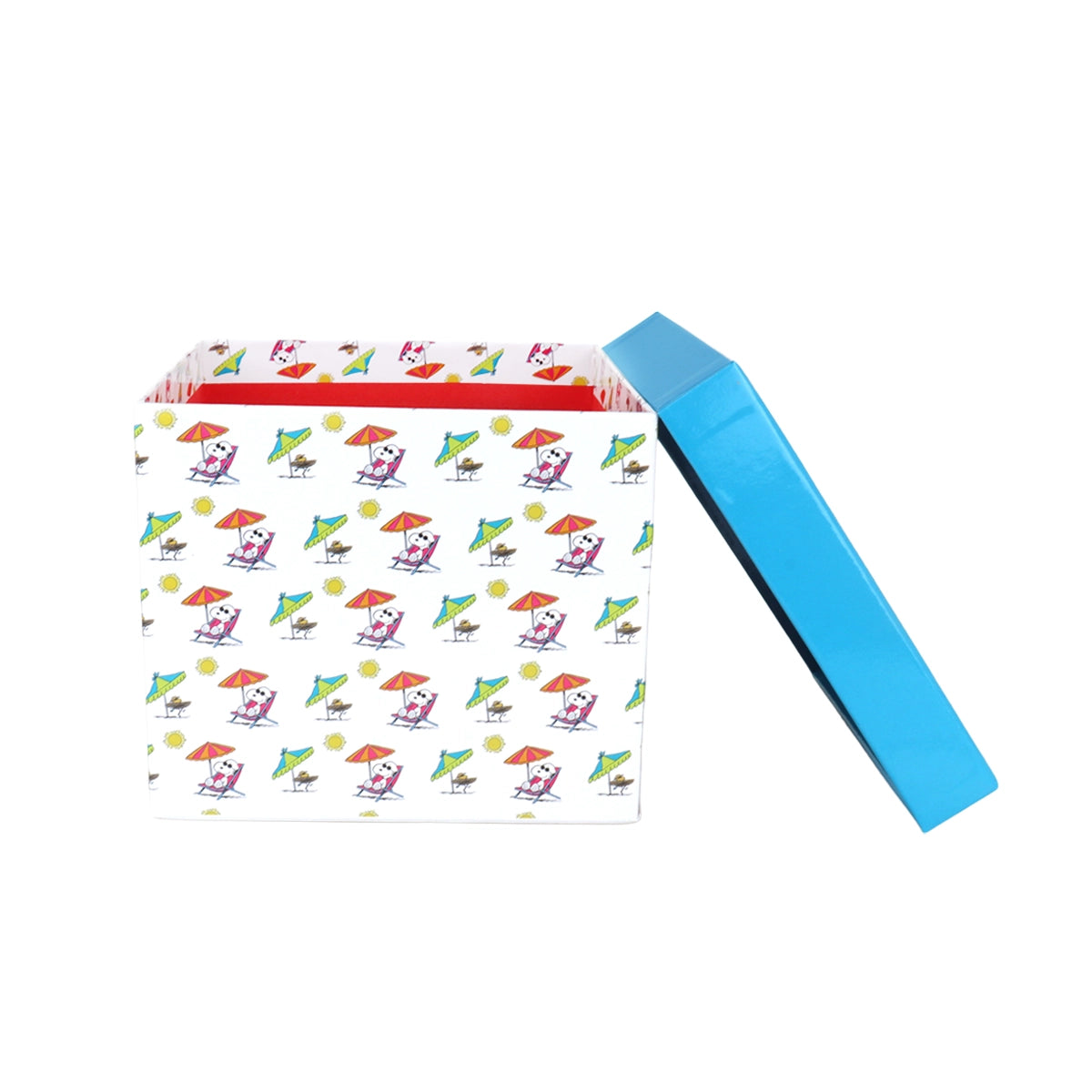 Caja de Regalo, Summer Vibes, Snoopy
