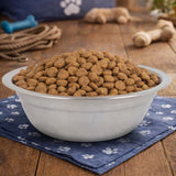 Bowl, Acero Inoxidable