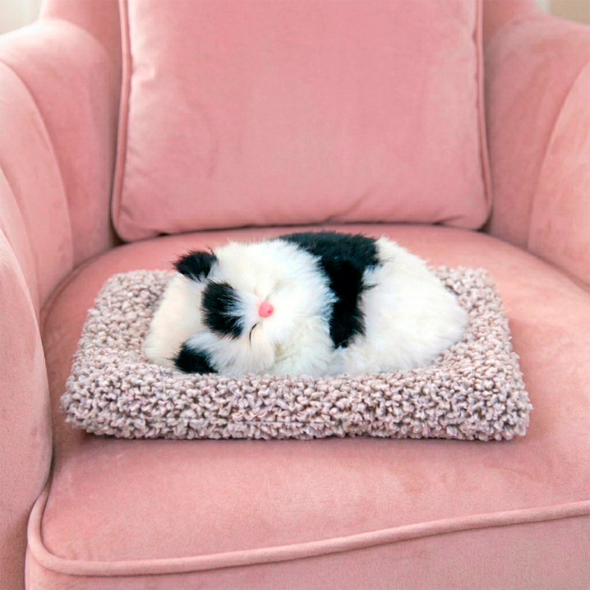 Gatito Dormido con Sonido, Color Negro y Blanco