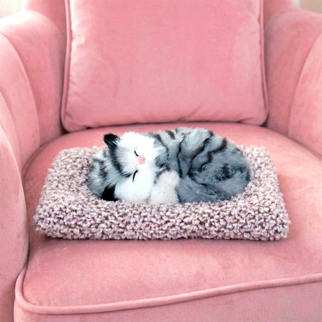Gatito Dormido con Sonido, Color Gris