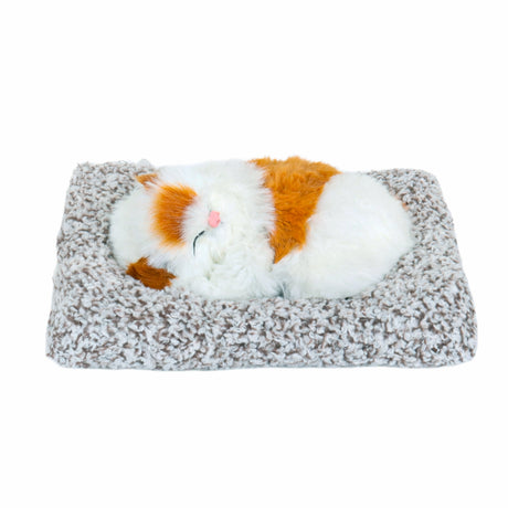 Gatito Dormido con Sonido, Color Blanco y Café