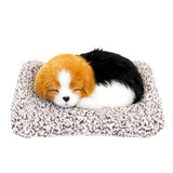 Perrito Dormido con Sonido, Color Negro y Café