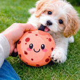 Galleta, Juguete para Mascota