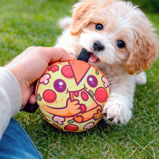 Pizza, Juguete para Mascota