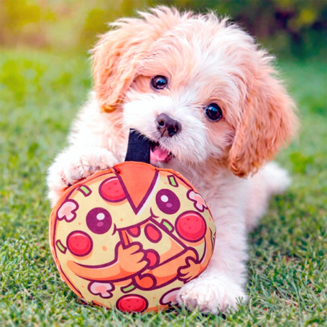 Pizza, Juguete para Mascota