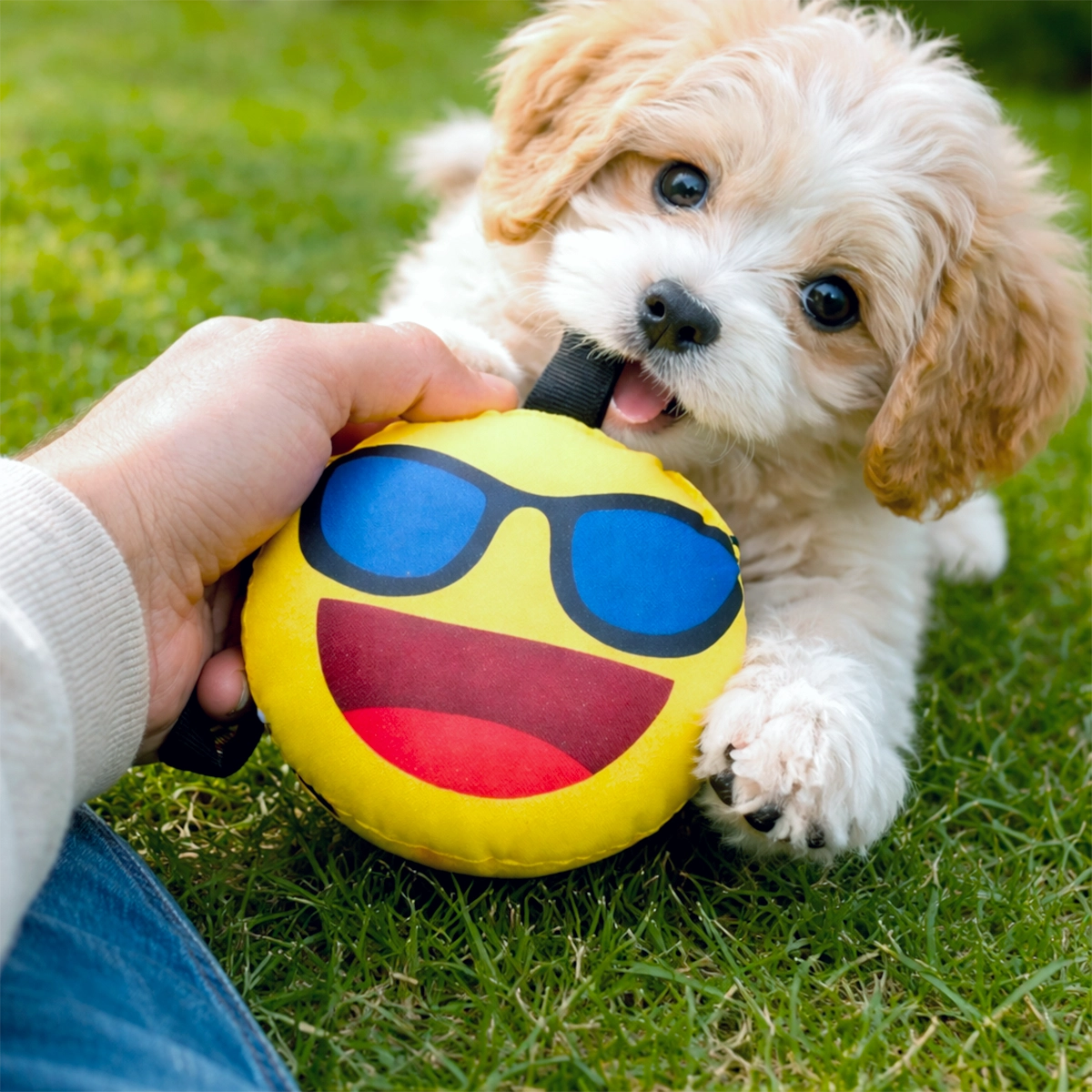 Emoji con Lentes, Juguete para Mascota