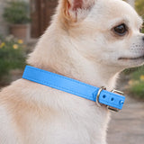 Collar para Mascota, Vinil, Color Azul Claro