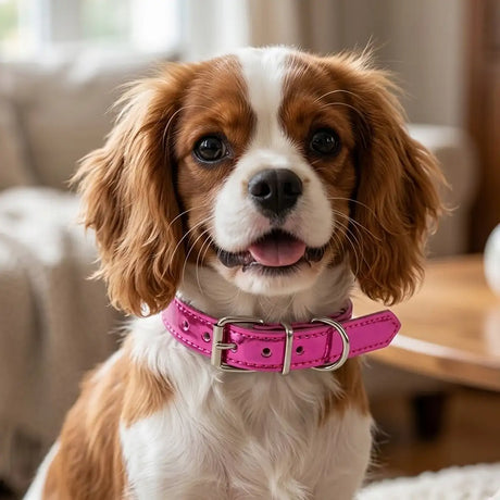 Collar para Mascota, Vinil, Color Rosa Metálico