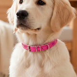 Collar para Mascota, Vinil, Color Rosa Metálico