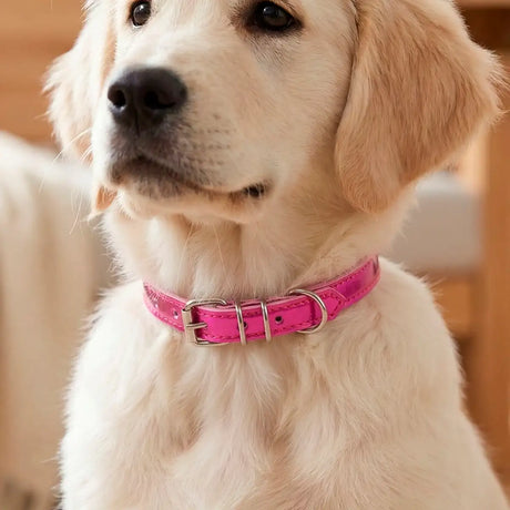 Collar para Mascota, Vinil, Color Rosa Metálico