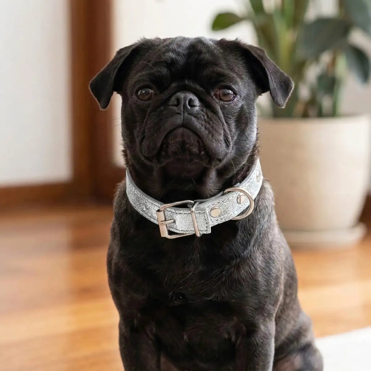Collar para Mascota, Vinil, Color Gris Metálico