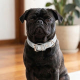 Collar para Mascota, Vinil, Color Gris Metálico