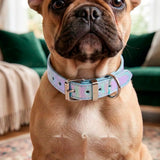 Collar para Mascota, Vinil, Color Gris Tornasol