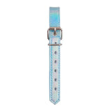 Collar para Mascota, Vinil, Color Gris Tornasol