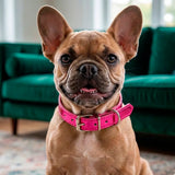 Collar para Mascota, Vinil, Color Morado Metalico
