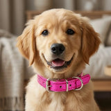 Collar para Mascota, Vinil, Color Morado Metalico