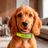 Collar para Mascota, Vinil, Color Verde y Amarillo