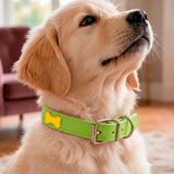 Collar para Mascota, Vinil, Color Verde y Amarillo