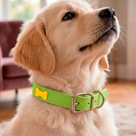 Collar para Mascota, Vinil, Color Verde y Amarillo