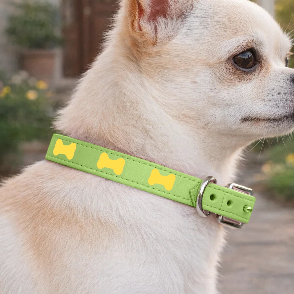 Collar para Mascota, Vinil, Color Verde y Rosa