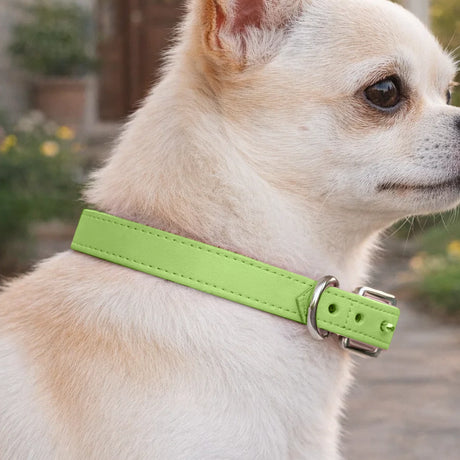 Collar para Mascota, Vinil, Color Verde