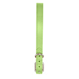 Collar para Mascota, Vinil, Color Verde