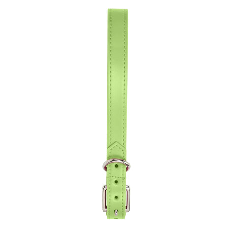 Collar para Mascota, Vinil, Color Verde